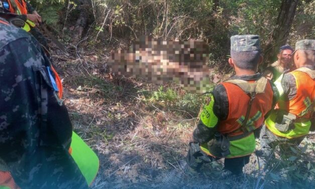 Asesinan a padre e hijo que denunciaron tala ilegal de árboles en Honduras
