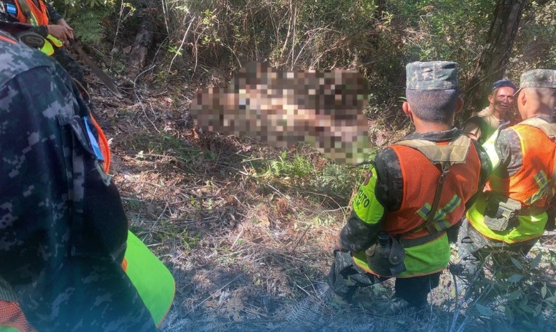 Asesinan a padre e hijo que denunciaron tala ilegal de árboles en Honduras