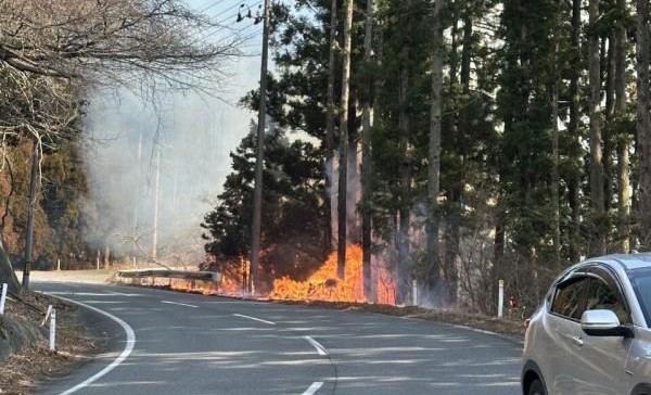 Incendio forestal en Japón 