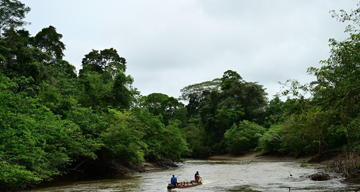 Selva del Darién reporta baja de flujos migratorios