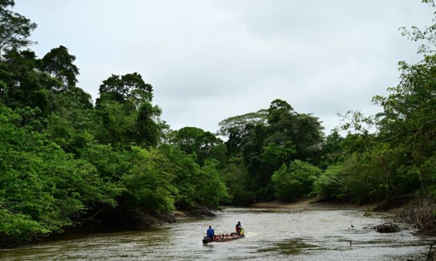 Selva del Darién reporta baja de flujos migratorios