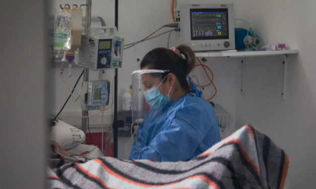 Una mujer falleció en Argentina al contagiarse de hantavirus