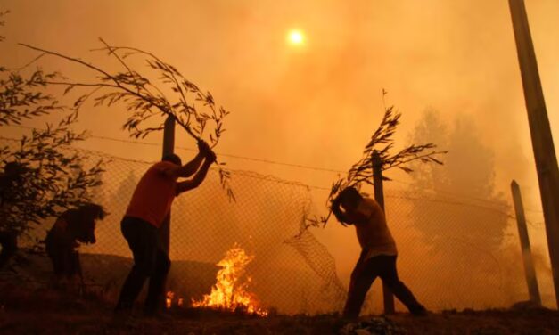 Incendios forestales en Chile