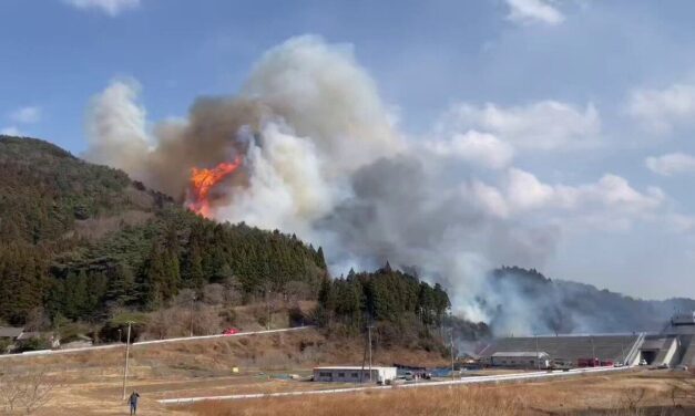 Japón enfrenta su peor incendio forestal en medio siglo