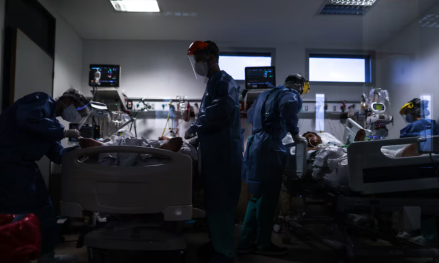 Candida parapsilosis: alerta en Argentina por hongo resistente en hospitales