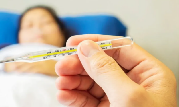 Colombia refuerza vacunación por brote de fiebre amarilla: 70 casos y 33 muertes