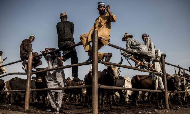 Más de 50 muertos tras ataques de presuntos ganaderos en el centro de Nigeria