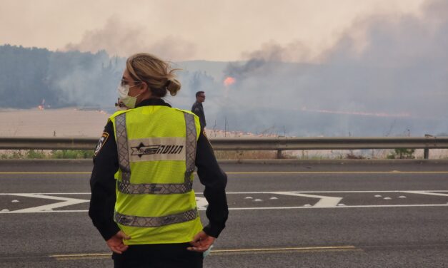 Varios países ayudarán a combatir incendio forestal en Israel