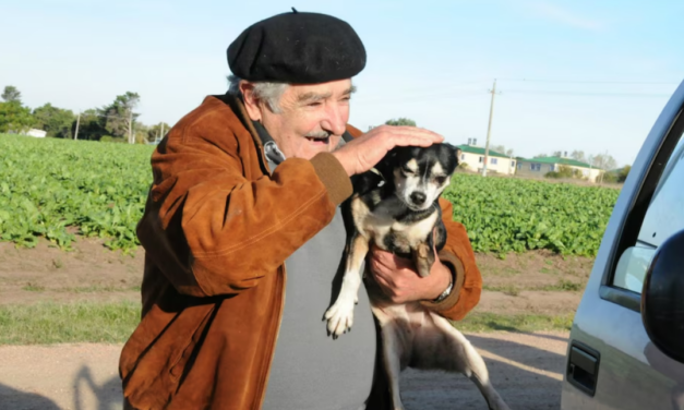 Pepe Mujica será enterrado junto a Manuela su perra de tres patas