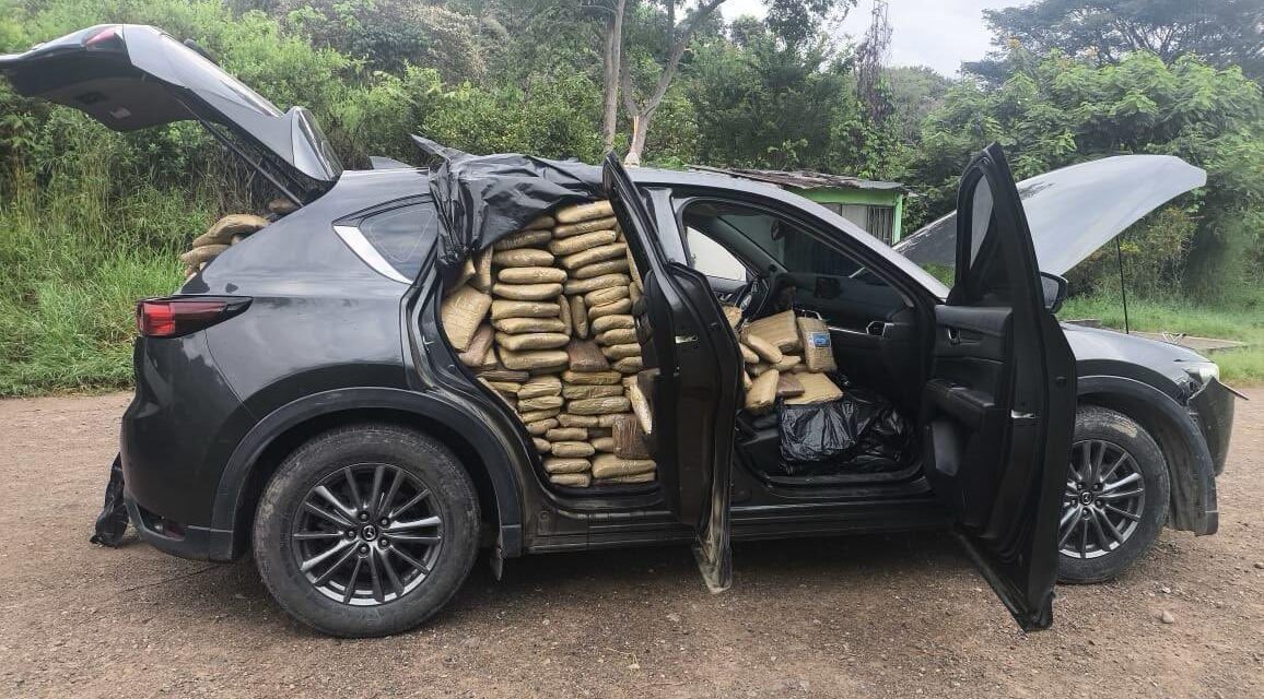 Ejército colombiano incauta más de media tonelada de marihuana