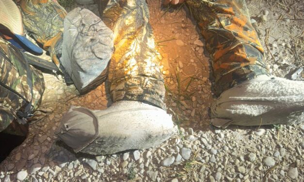 5 inmigrantes ilegales camuflados con tela sobre sus zapatos fueron detenidos en Texas, EE. UU.