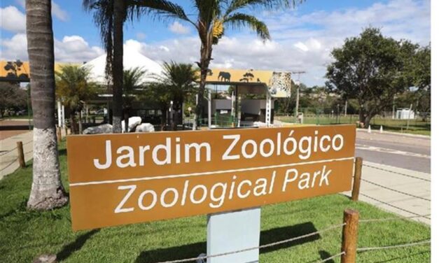 Zoológico de Brasilia cierra por posible gripe aviar