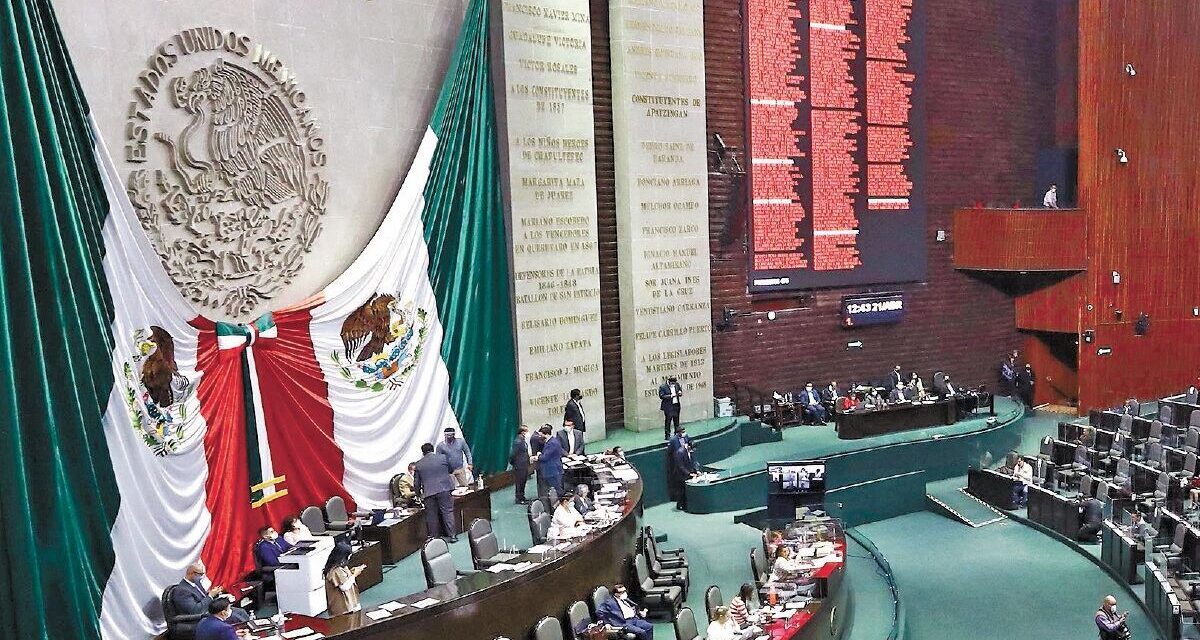 México prohíbe el uso de mamíferos marinos como delfines y orcas en espectáculos de entretenimiento