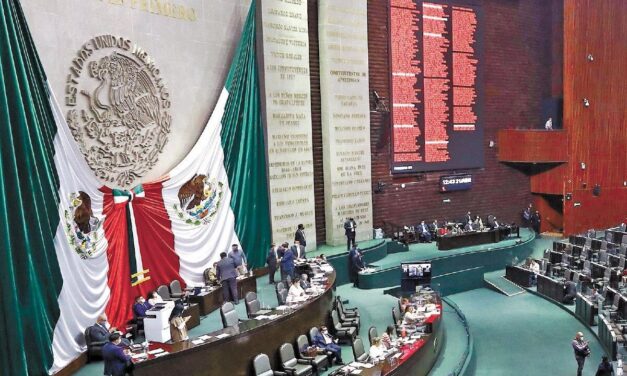 México prohíbe el uso de mamíferos marinos como delfines y orcas en espectáculos de entretenimiento