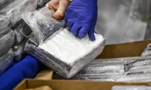Cae red criminal que enviaba droga oculta en pulpa de piña desde Costa Rica a Europa