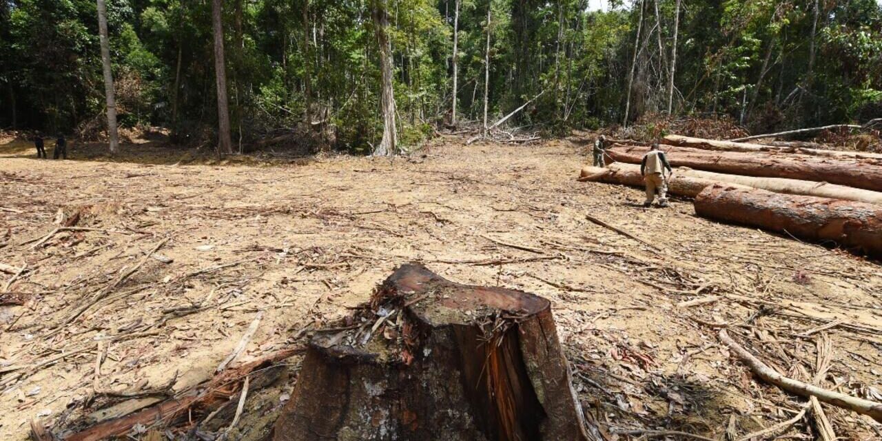Deforestación en la Amazonía brasileña aumentó un 9.1%