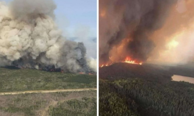 Humo de los incendios forestales en Canadá llega hasta Europa