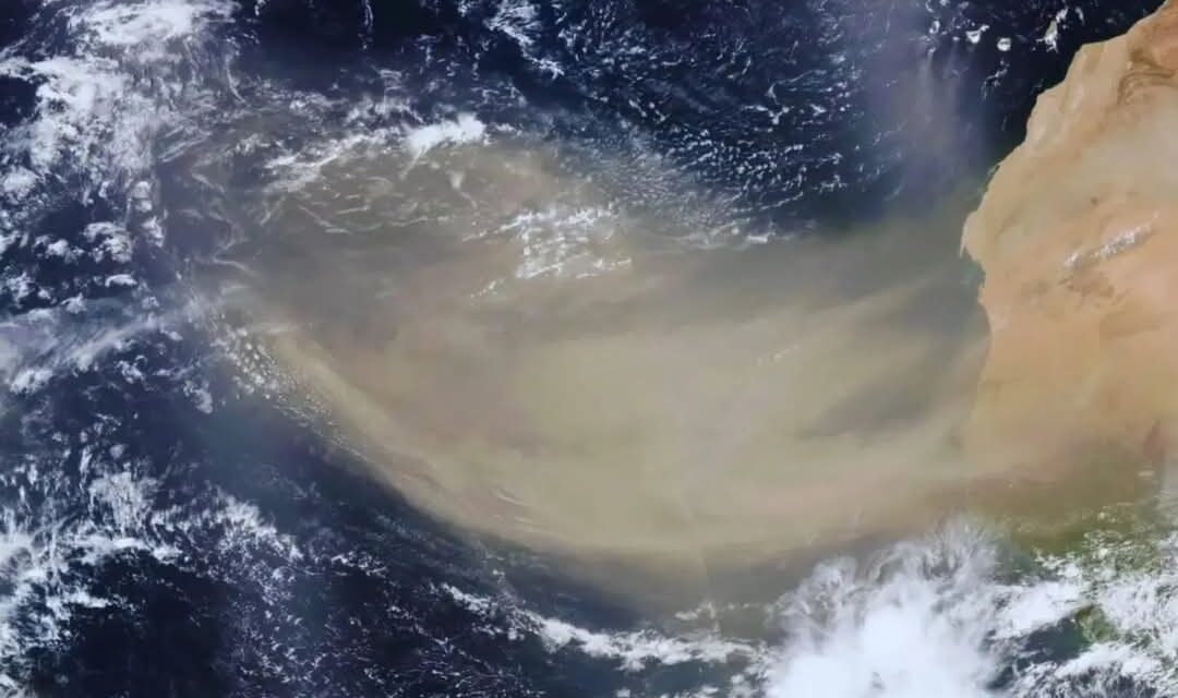 Enorme nube de polvo del desierto del Sahara se dirige al continente americano