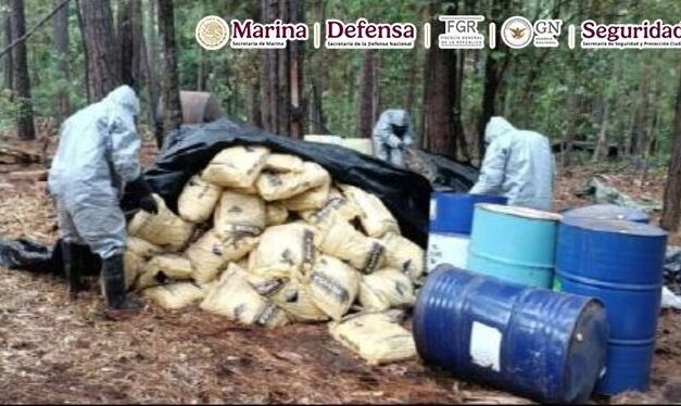 Desmantelan cinco narcolaboratorios en Michoacán, México