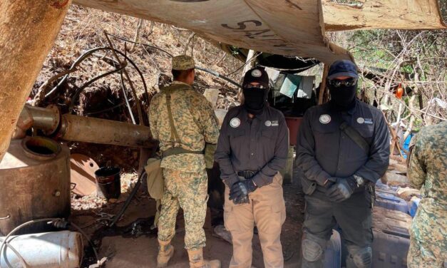 Desmantelan laboratorio de drogas sintéticas y pista clandestina en centro de México