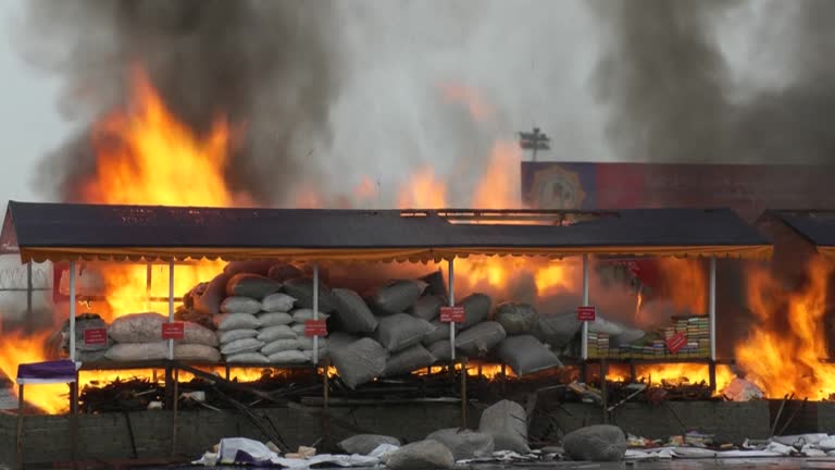 Myanmar destruyó droga valorada en casi $300 millones de dólares