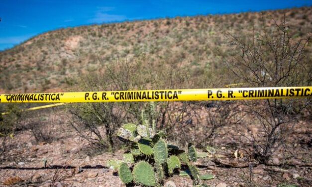 Localizan 34 cadáveres en fosa clandestina en el oeste de México