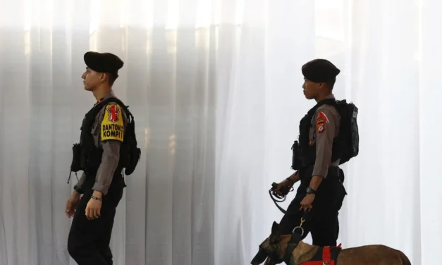 Indonesia arresta a 12 personas por tráfico de bebés a Singapur