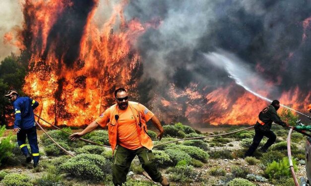 Voraces incendios forestales consumen todo a su paso en Grecia