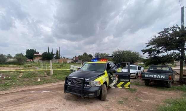 Bebé recién nacido es devorado por perros en San Luis Potosí