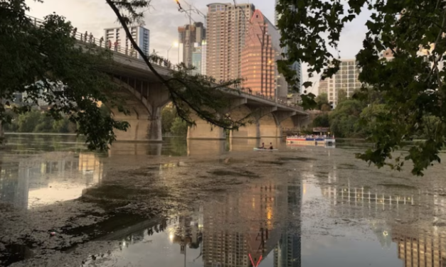 Misterio en Texas: hallan 38 cuerpos en un lago