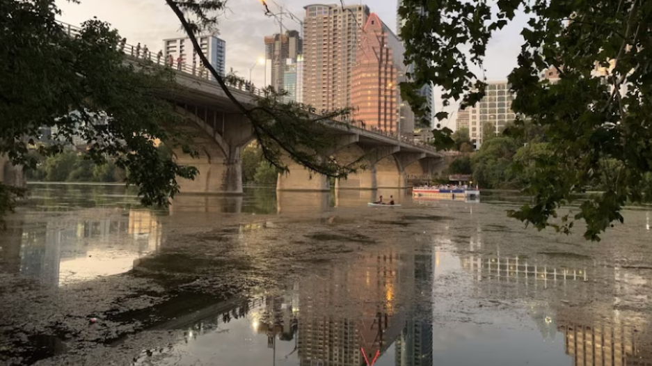 Misterio en Texas: hallan 38 cuerpos en un lago
