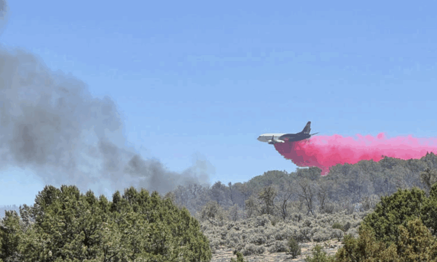 Residentes y turistas son evacuados del Gran Cañón, EE.UU por incendios forestales
