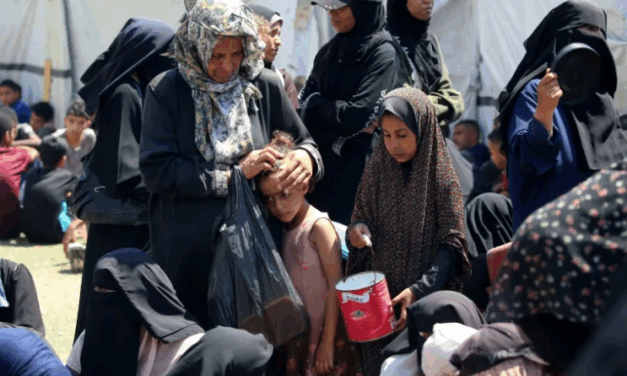 ONU denuncia aumento de casos de desnutrición en la Franja de Gaza