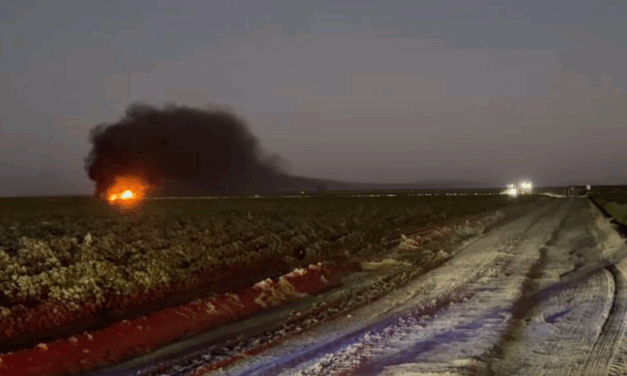 Piloto sobrevivió tras estrellarse su avión en California, EE. UU.