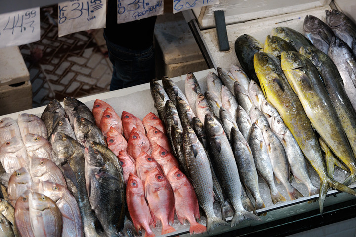 Brasil almacena su pescado por arancel del 50% de EE. UU.