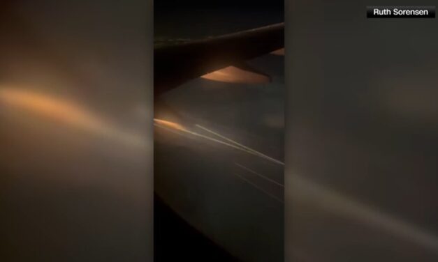 Motor de un avión se incendia tras despegar en Los Ángeles, EE. UU.