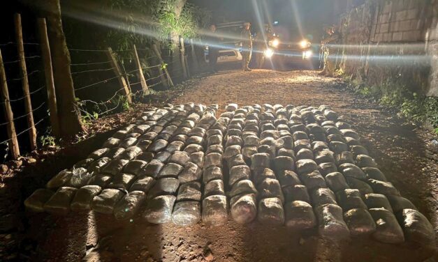 Decomisan más de 179 libras de marihuana en zona fronteriza de El Salvador y Guatemala