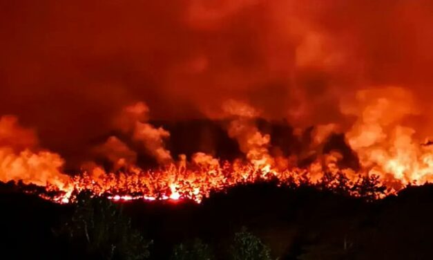 Mueren 10 trabajadores forestales en Turquía cuando luchaban contra un incendio