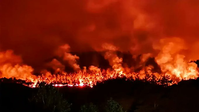 Mueren 10 trabajadores forestales en Turquía cuando luchaban contra un incendio