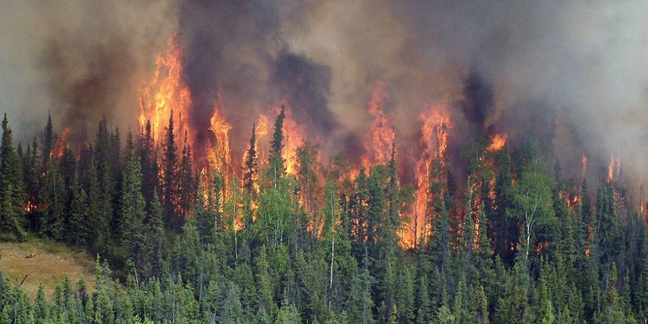 Incendio forestal consume más de 10.000 hectáreas en Alaska