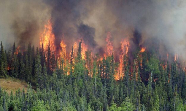 Incendio forestal consume más de 10.000 hectáreas en Alaska