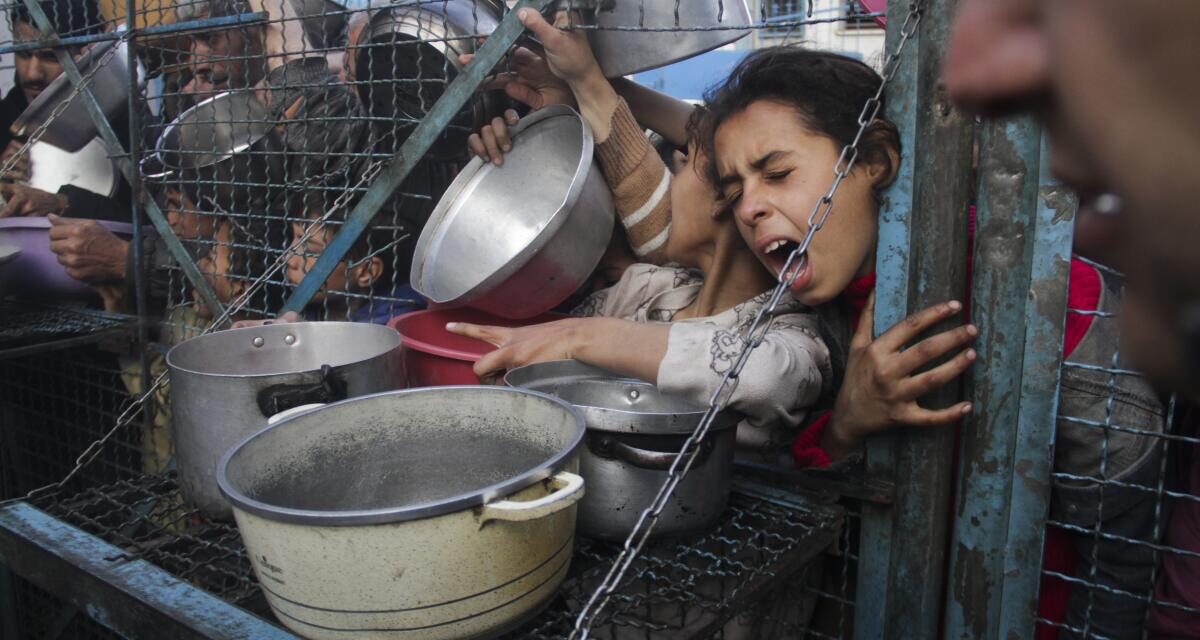 ONG denuncian aumento de la desnutrición infantil como consecuencia de la guerra que asola la Franja de Gaza