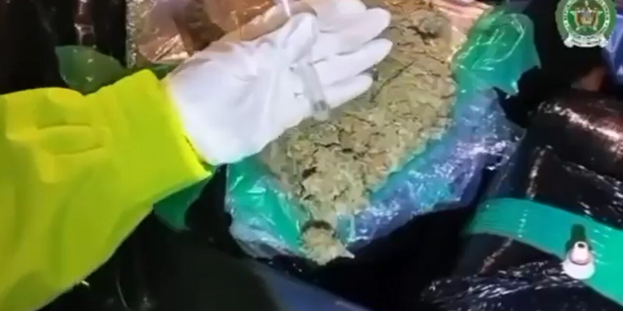 Colombia incauta cuatro toneladas de marihuana