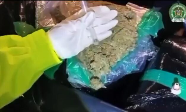 Colombia incauta cuatro toneladas de marihuana
