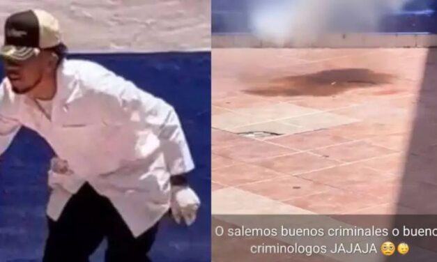 Estudiantes de criminología asesina a un gato con pirotecnia en Guanajuato, México