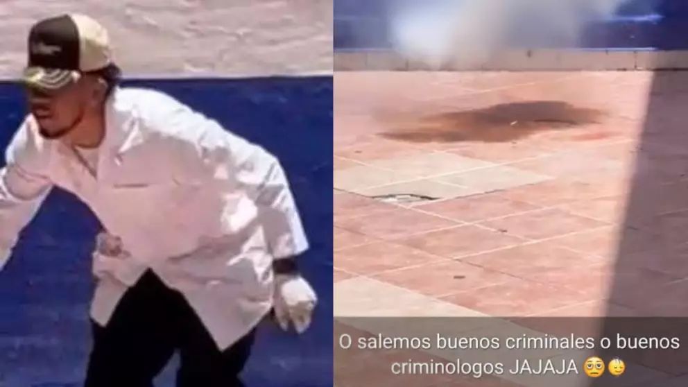 Estudiantes de criminología asesina a un gato con pirotecnia en Guanajuato, México
