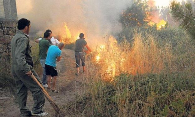 Autoridades luchan por contener voraz incendio forestal en España