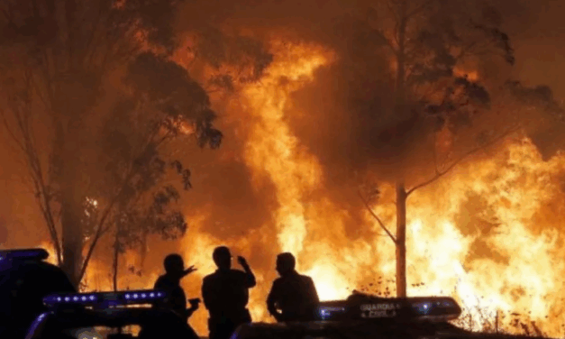 Detienen a cuatro personas como presuntas autores de los incendios forestales en España
