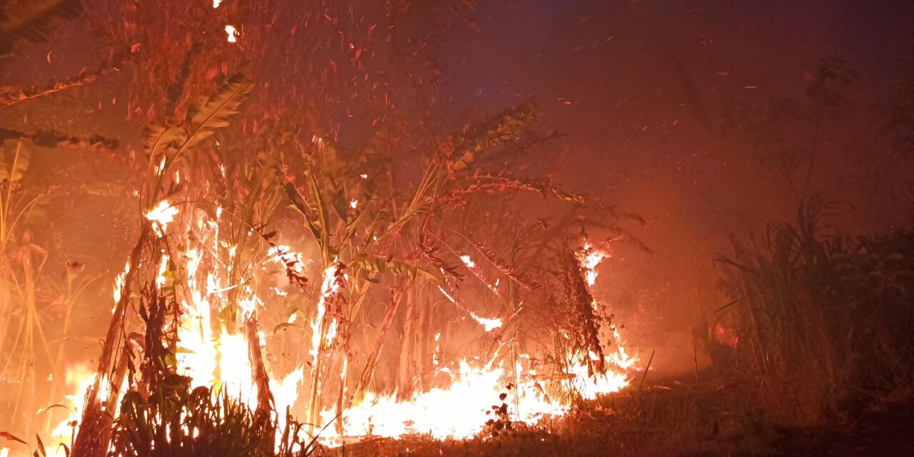 Incendios consumen 14.500 hectáreas en áreas protegidas, en Bolivia
