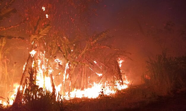 Incendios consumen 14.500 hectáreas en áreas protegidas, en Bolivia